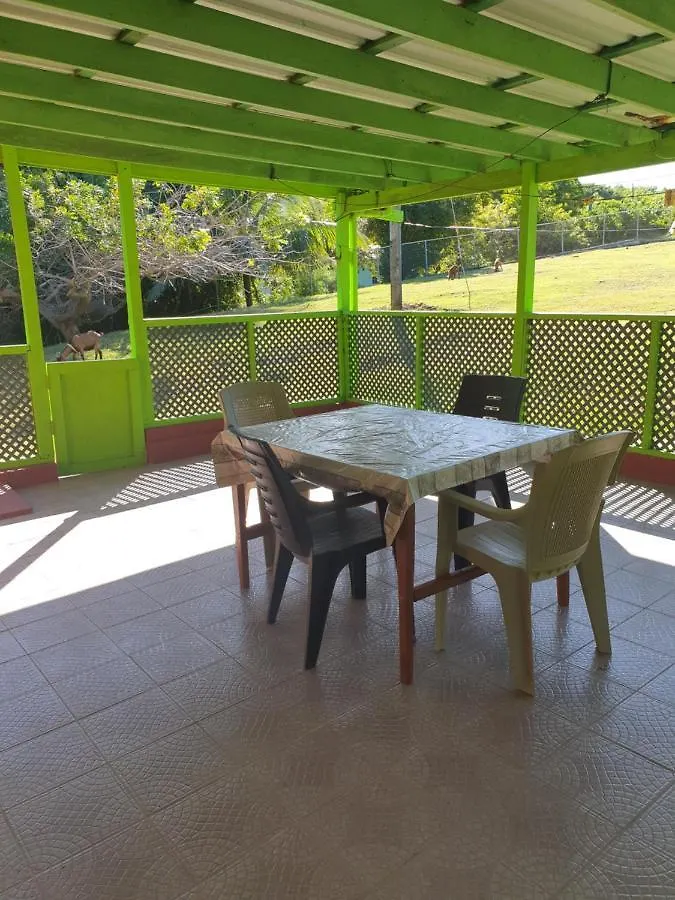 Apartment Seawind Cottage Authentic St.Lucian Accommodation Near Plantation Beach Gros Islet Saint Lucia
