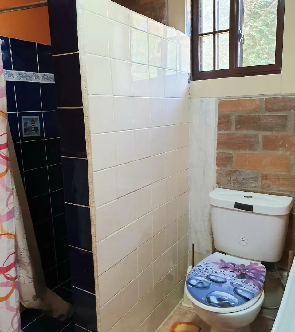 Apartment Seawind Cottage Authentic St.Lucian Accommodation Near Plantation Beach Gros Islet